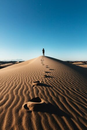 Neom Awhksykbci8 Unsplash