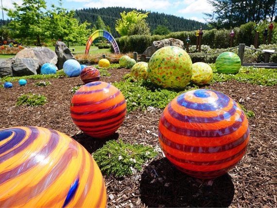 Lava Glass Garden