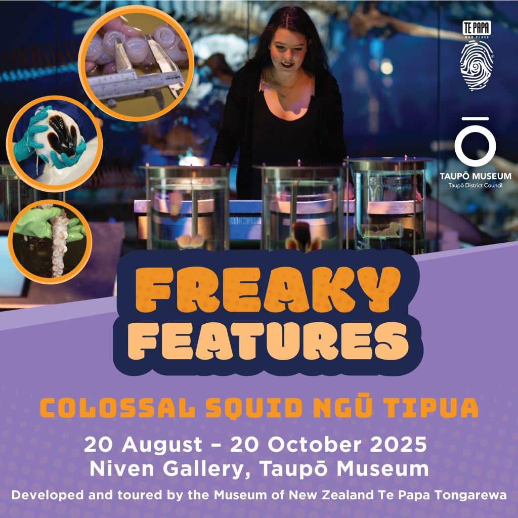 Squid Pic For Museum Exhibition