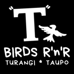 Tbirds Logo