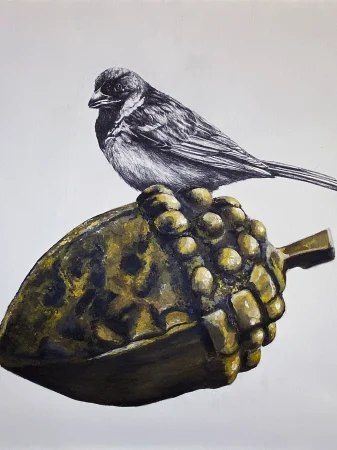 2025 Sparrow Acorn Creative Taupo