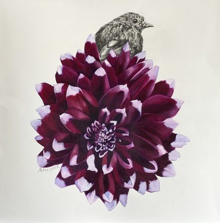 2025 Sparrow Mystery Day