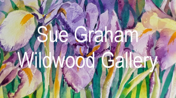 Sue Banner